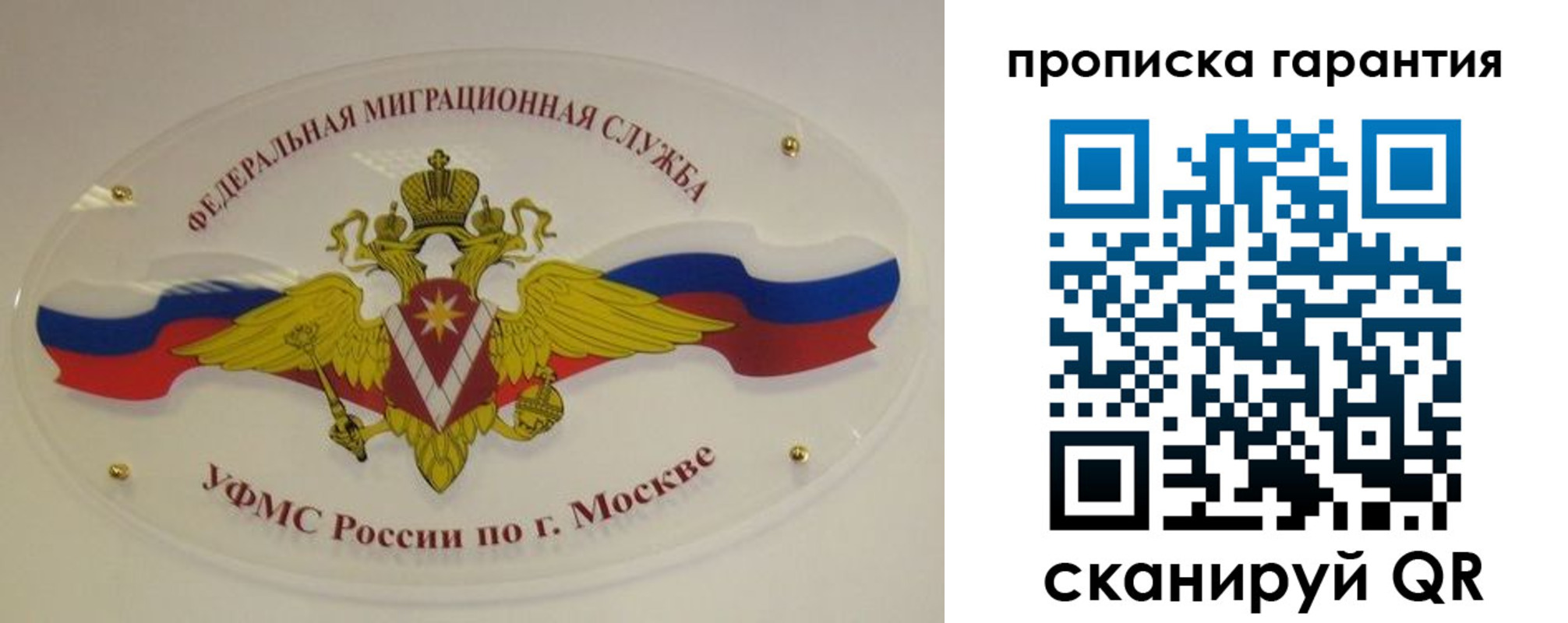 прописка штамп в Бабаево